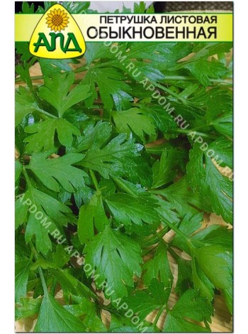 Петрушка листовая обыкновенная (Petroselinum crispum)